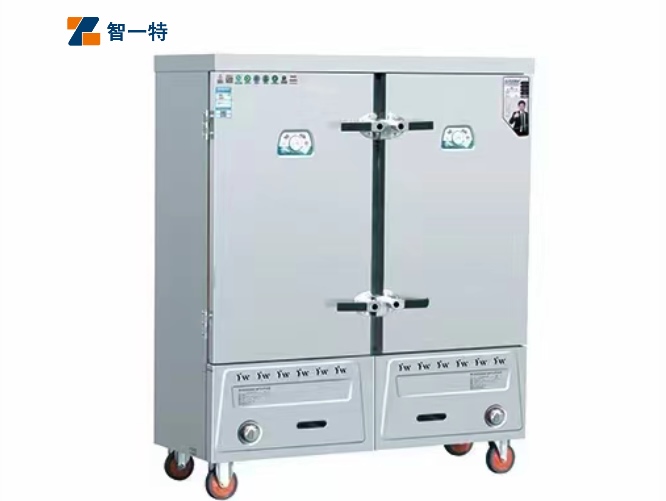 双门燃气蒸饭车
